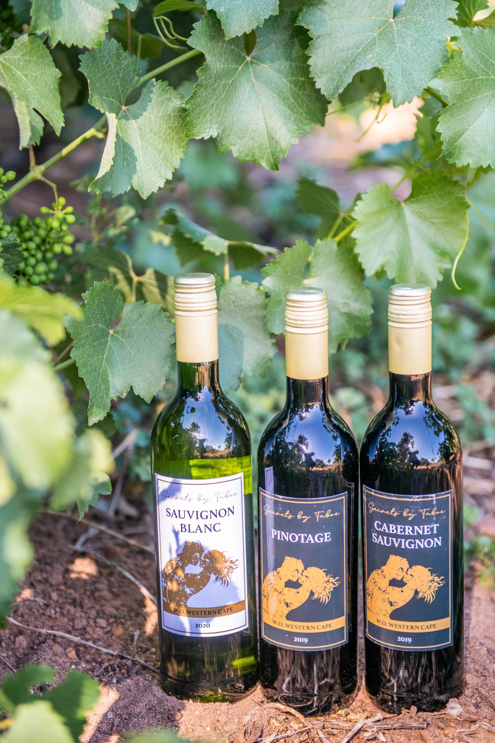 Zuid-Afrikaanse wijnen
